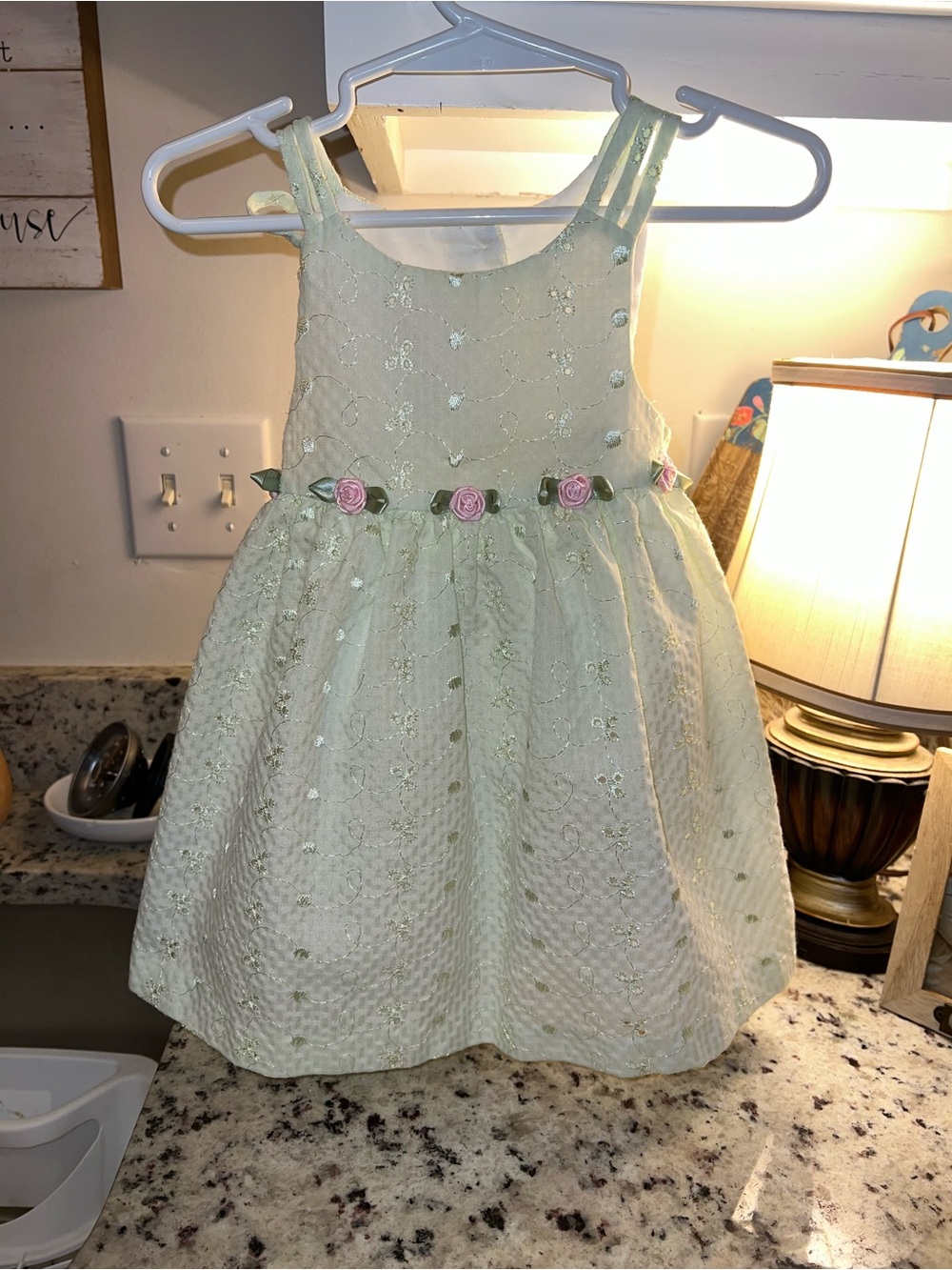 Bonnie Baby Girls Floral Embroidered Party Dress with Rose Trim